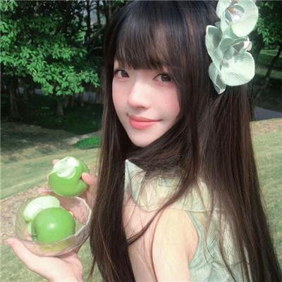 鸽