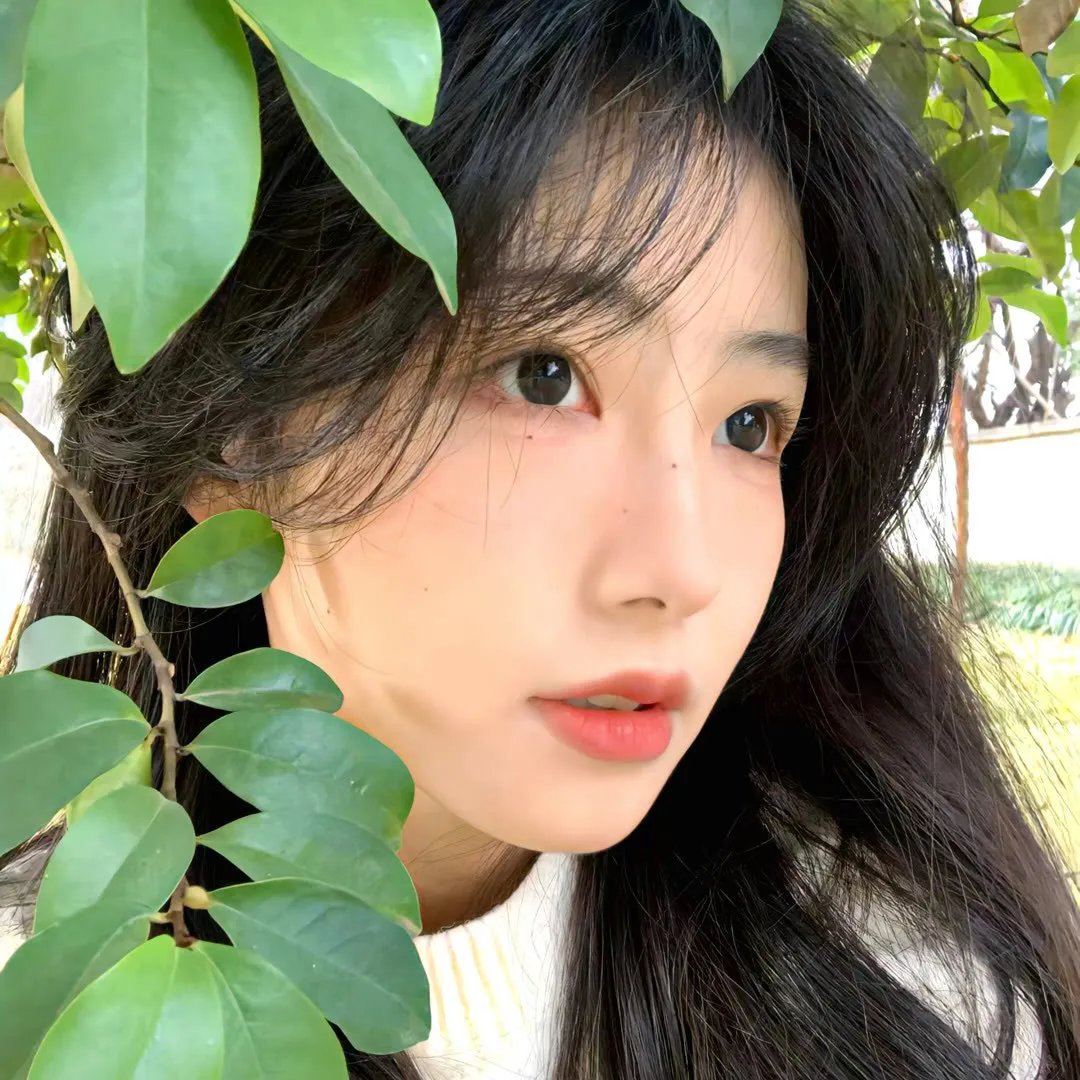 荡妇
