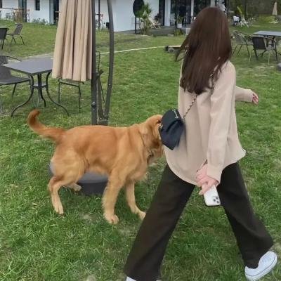 求爱女王